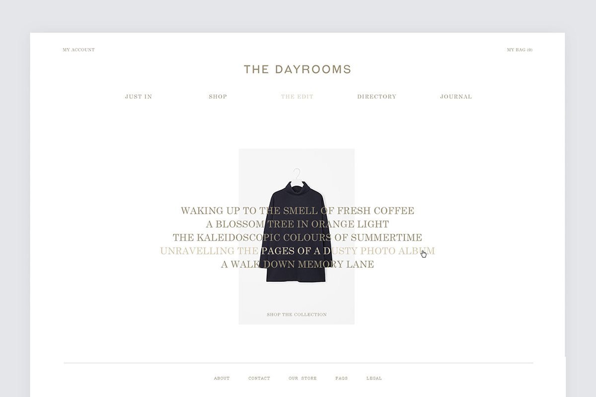 Dayroom服装店VI设计  网站设计展示
