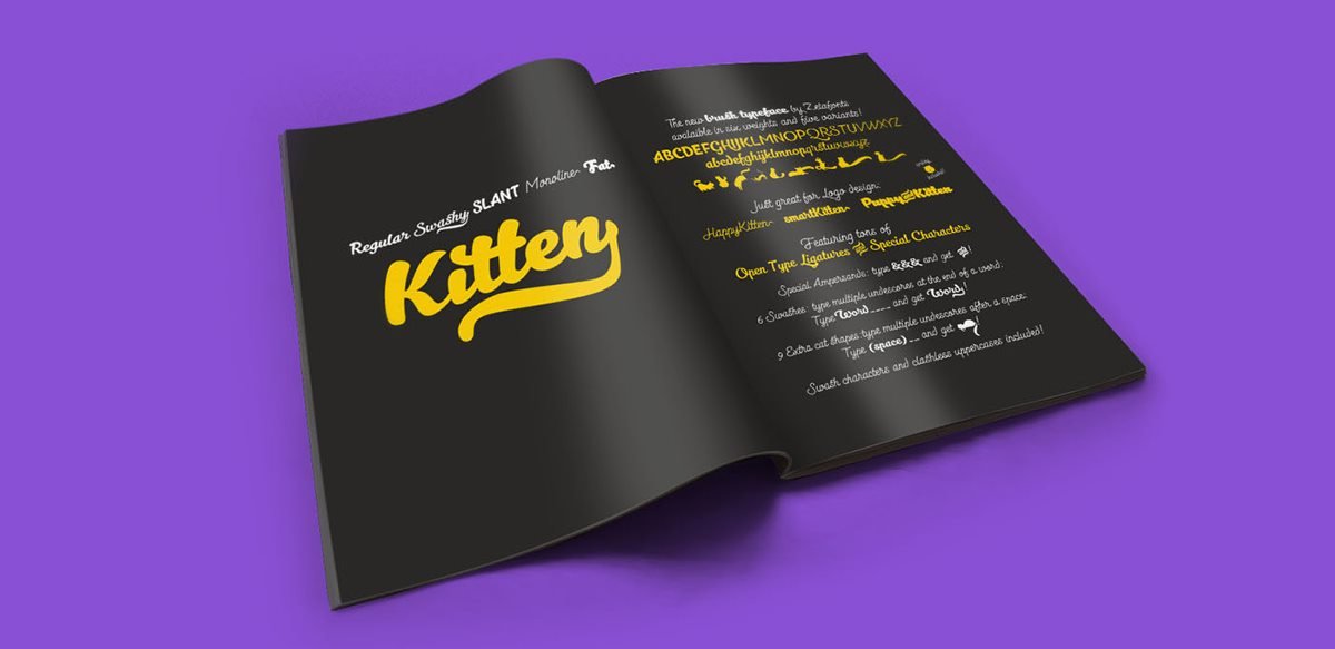 Kittery宠物连锁店Vi设计  画册设计