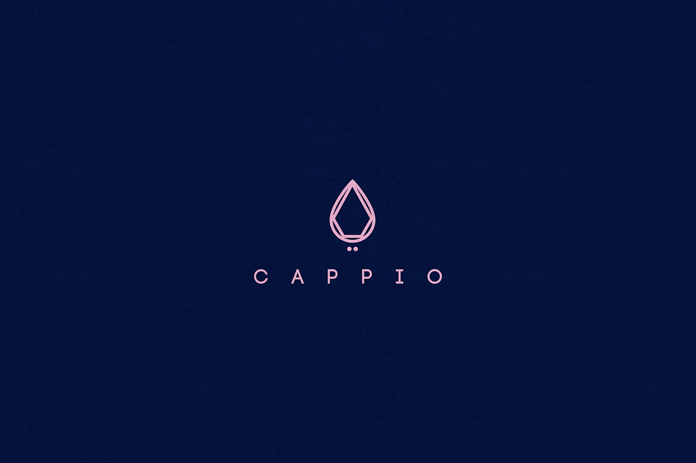Cappio 服装珠宝企业品牌全案策划案例，服装VI设计，品牌全案策划，企业形象设计，深圳VI设计，左右格局