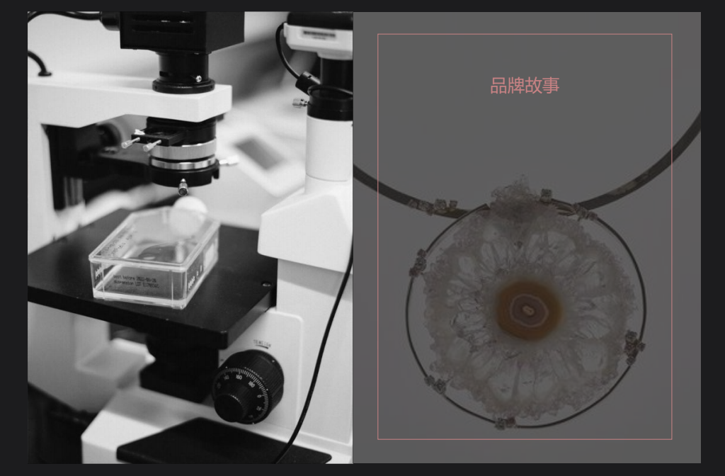 Vsense，从0到1的时尚品牌孵化
